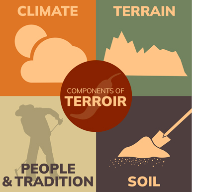 What is Terroir?